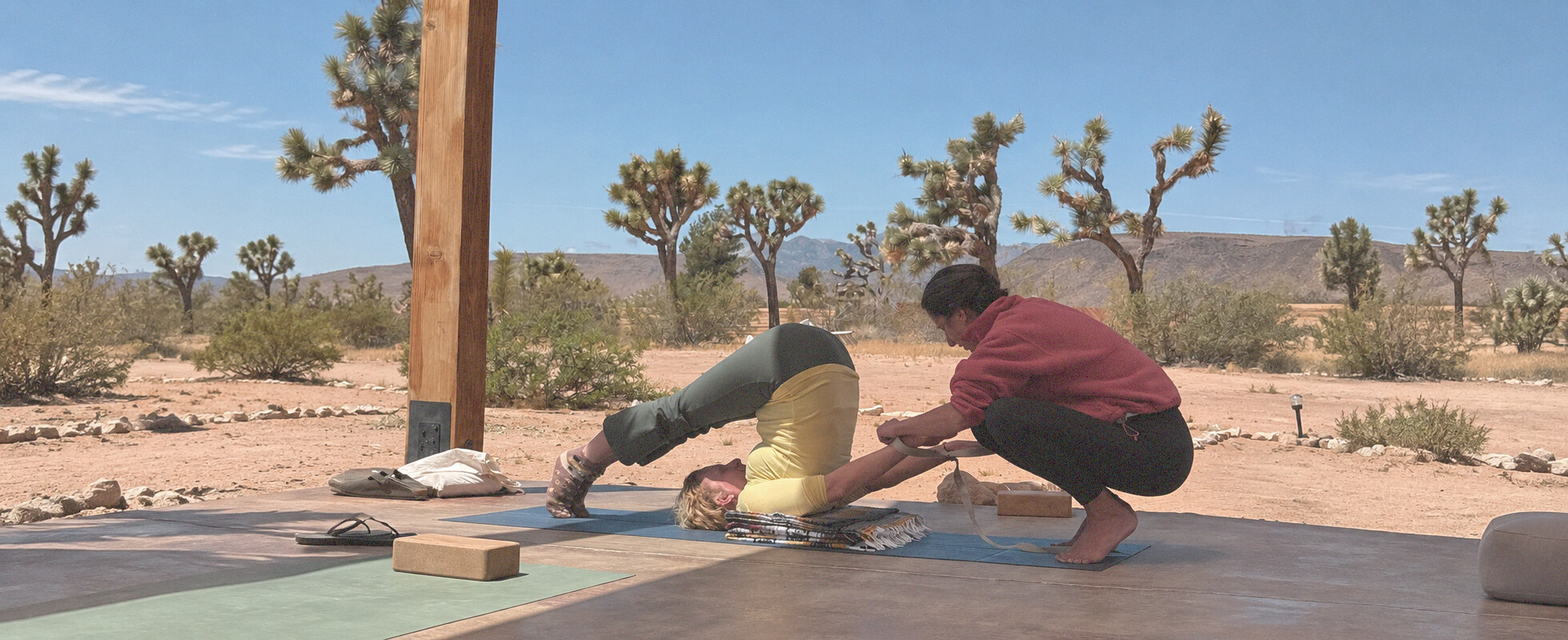 Stephania guiding a student in Halāsana during a private desert session